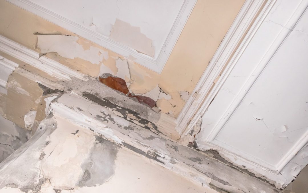 Dry Lining or Wet Plastering: Know Which One You Should Try
